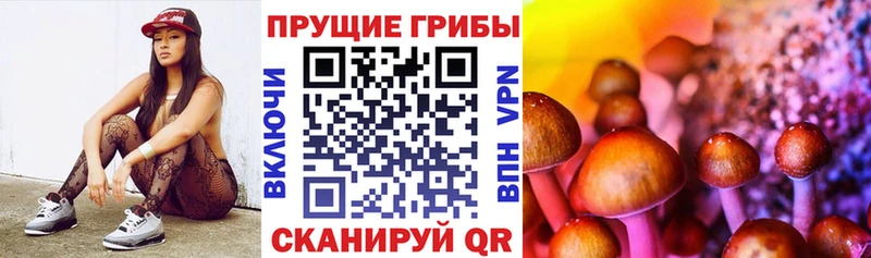 Галлюциногенные грибы Magic Shrooms Хабаровск