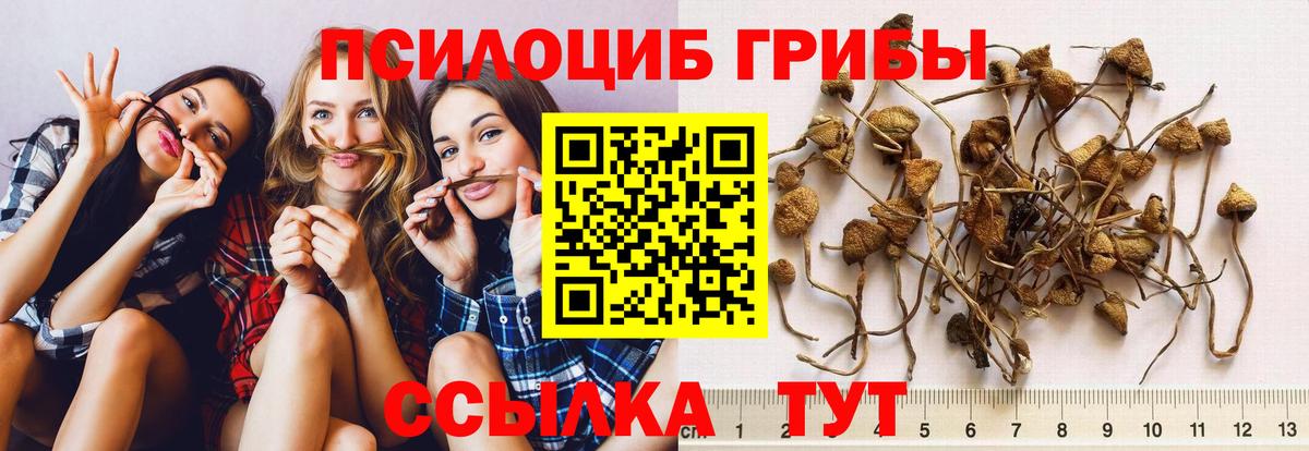 Галлюциногенные грибы ЛСД  Вход с VPN  Псилоцибиновые грибы Psilocybine cubensis  Хабаровск 