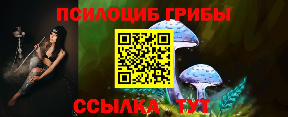Галлюциногенные грибы Psilocybine cubensis Хабаровск